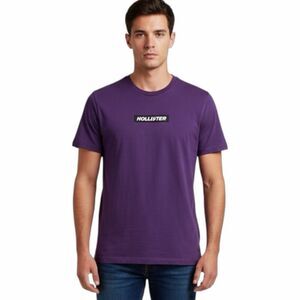 HOLLISTER Men’s Purple Short Sleeve Logo Graphic T-Shirt Size Medium